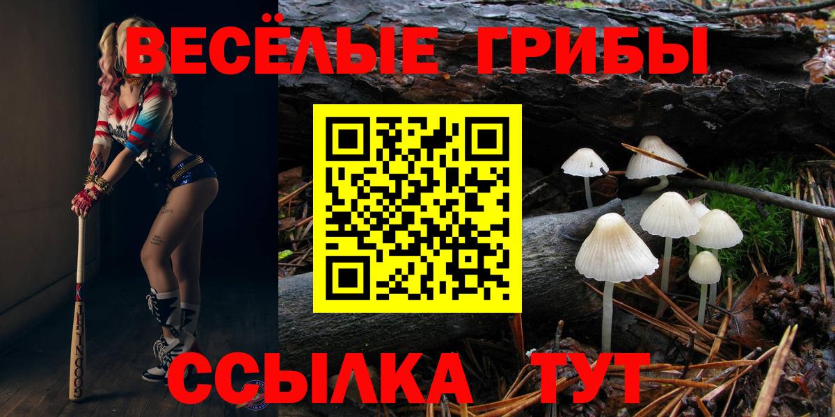 Карпинск  Псилоцибиновые грибы MAGIC MUSHROOMS  Галлюциногенные грибы Cubensis  Вход с VPN 
